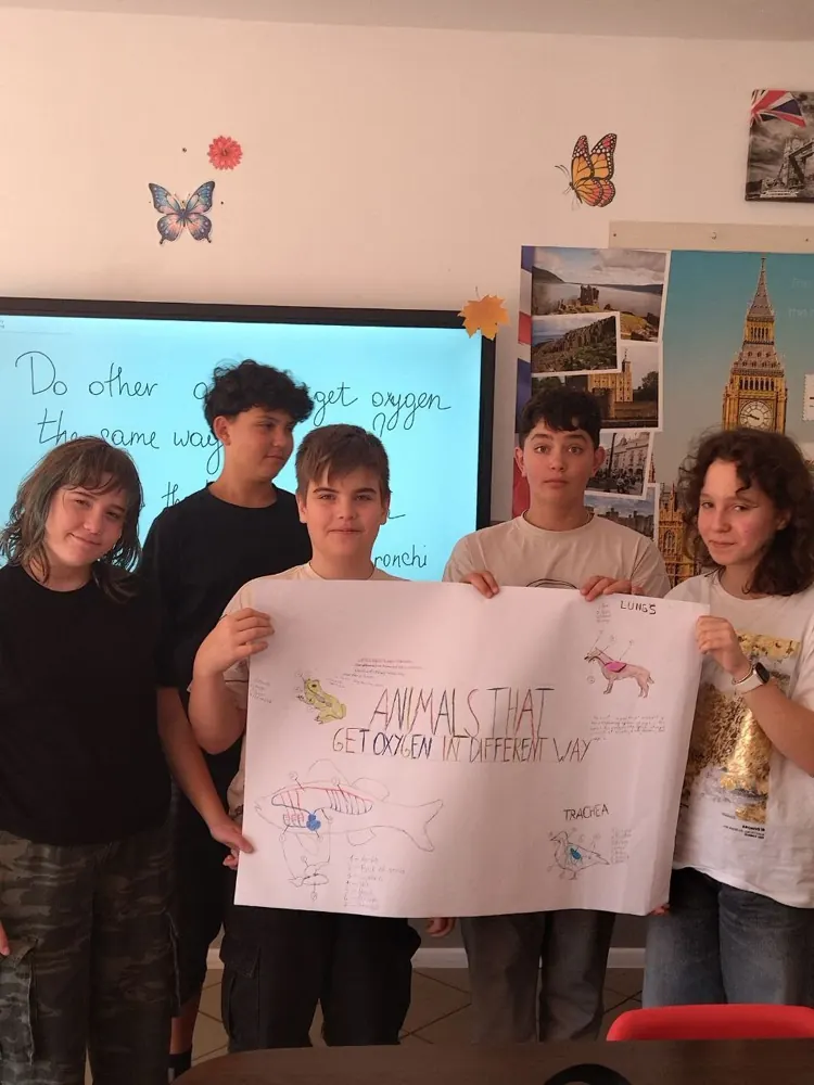 Чому старшокласники обирають ліцей Discovery